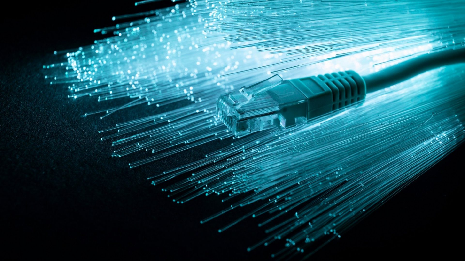 Blue fiber optic cables with an ethernet cable